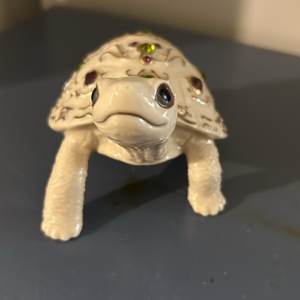 Lenox turtle - Picture 2 of 7
